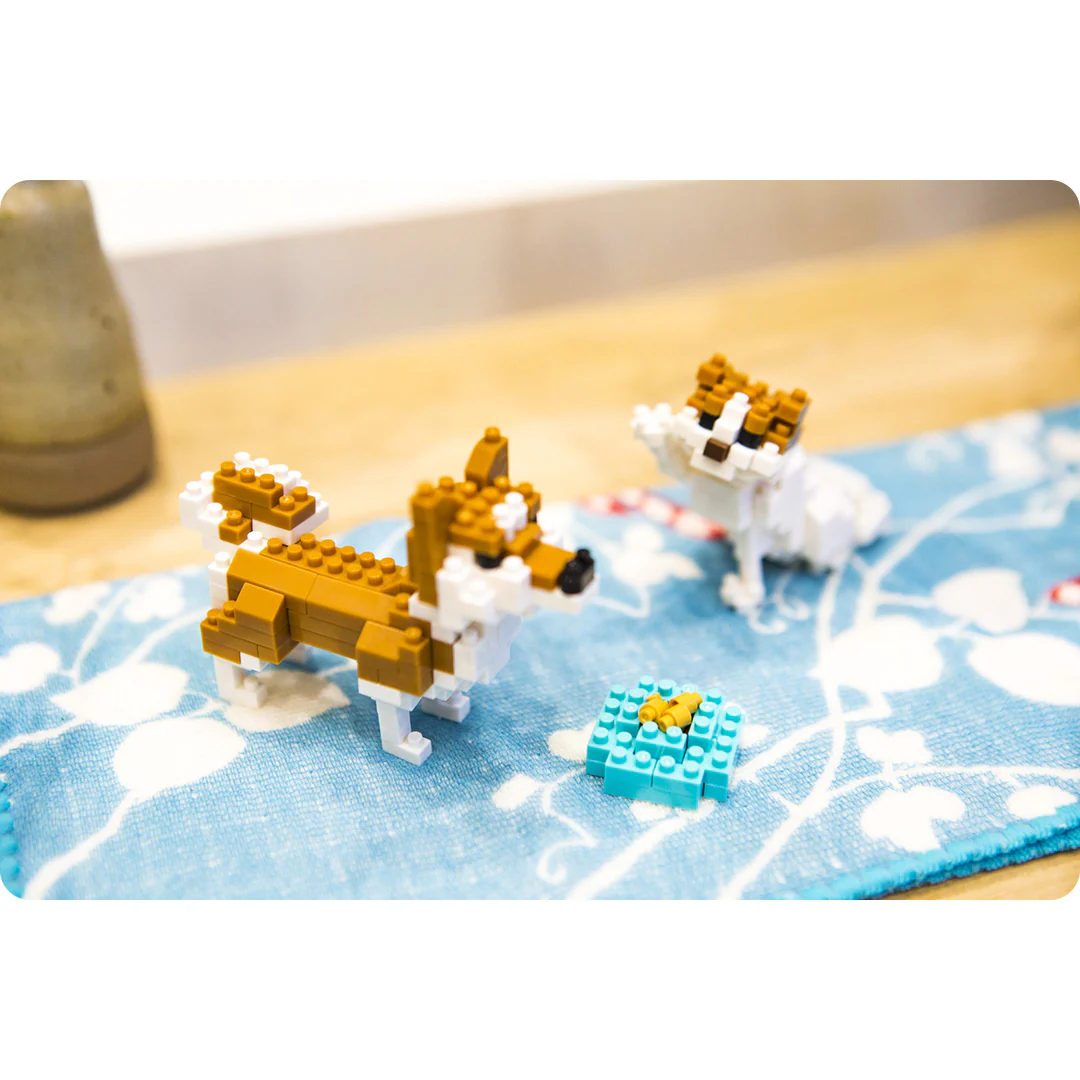 Miniature 1